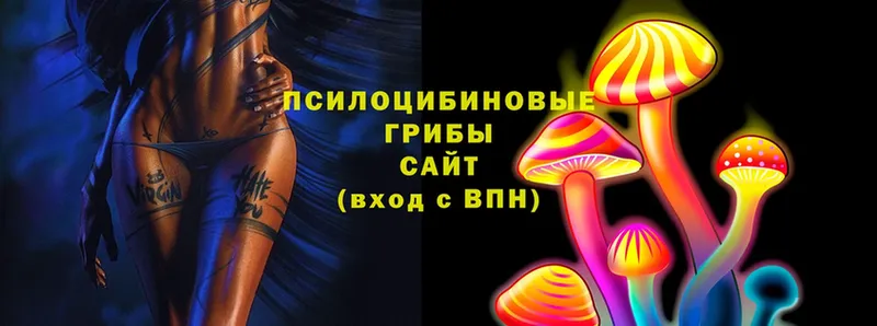 это телеграм  Неман  Псилоцибиновые грибы Psilocybine cubensis 